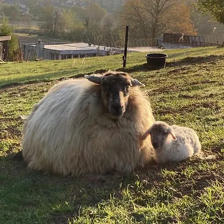 Apartament Sans Souci