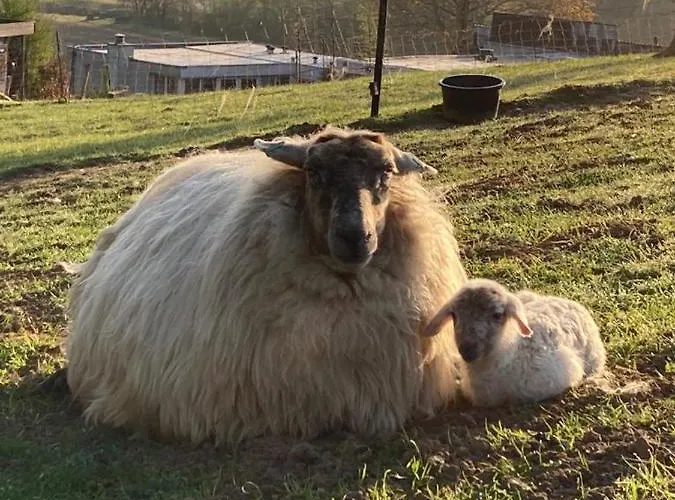 Lejlighed Sans Souci