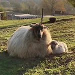 Lejlighed Sans Souci